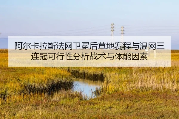a-er-ka-la-si-fa-wang-wei-mian-hou-cao-di-sai-cheng-yu-wen-wang-san-lian-guan-ke-xing-xing-fen-xi-zhan-shu-yu-ti-neng-2-596.jpg